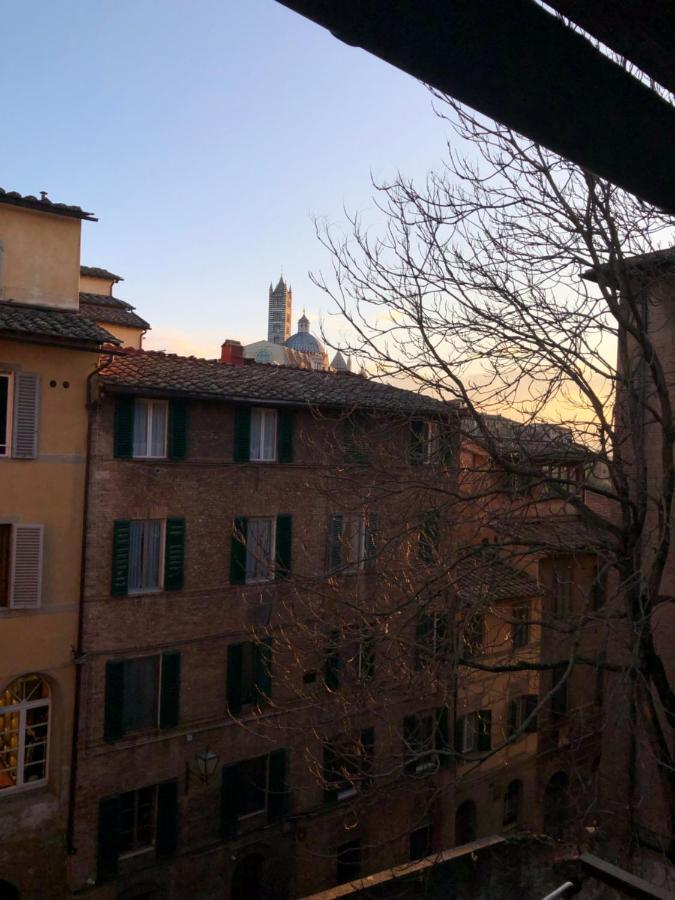Teresa 91, Appartamento Incantevole Vista Duomo Siena Bagian luar foto